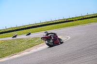 anglesey-no-limits-trackday;anglesey-photographs;anglesey-trackday-photographs;enduro-digital-images;event-digital-images;eventdigitalimages;no-limits-trackdays;peter-wileman-photography;racing-digital-images;trac-mon;trackday-digital-images;trackday-photos;ty-croes